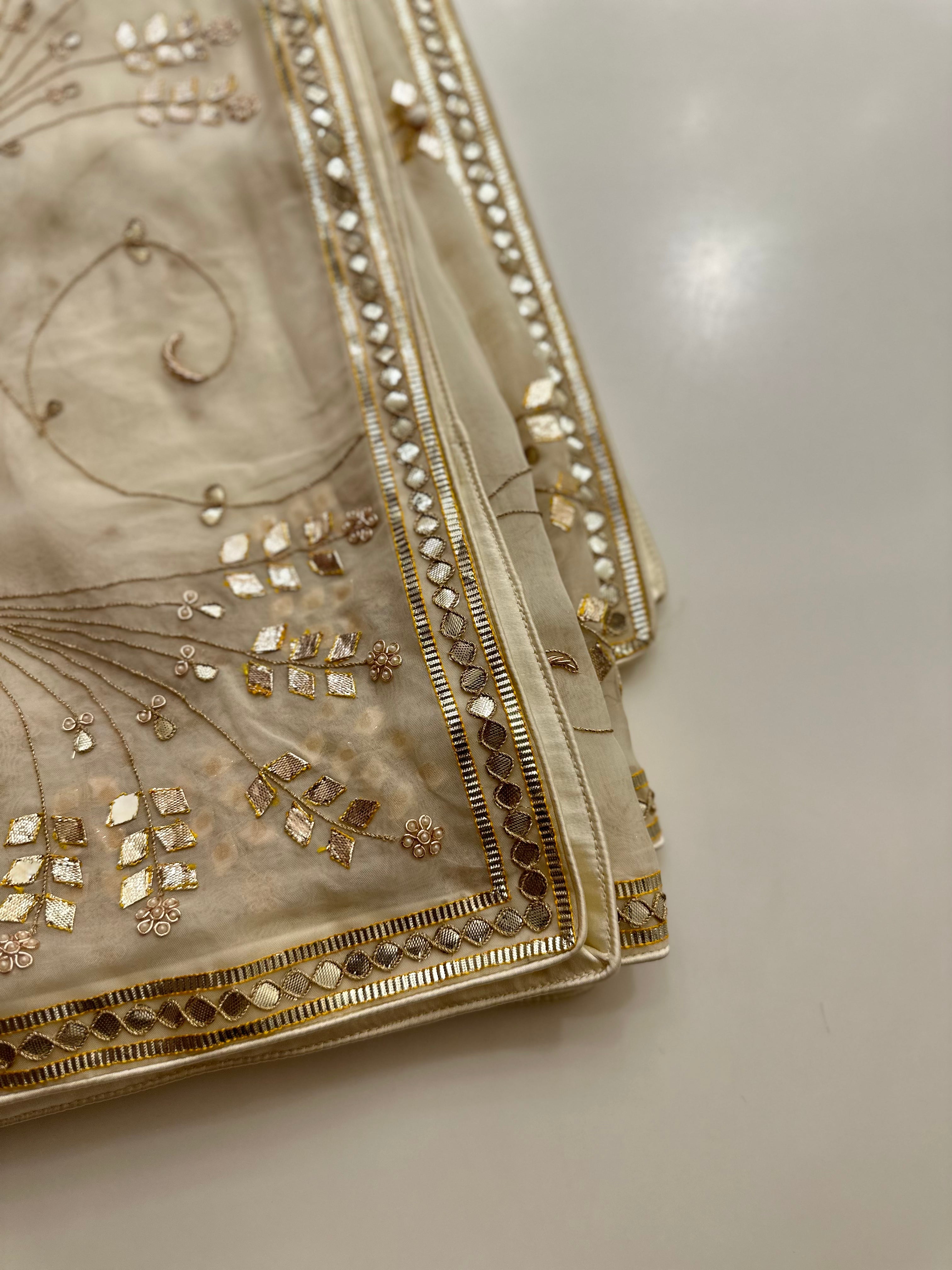 Padmini Cream organza saree
