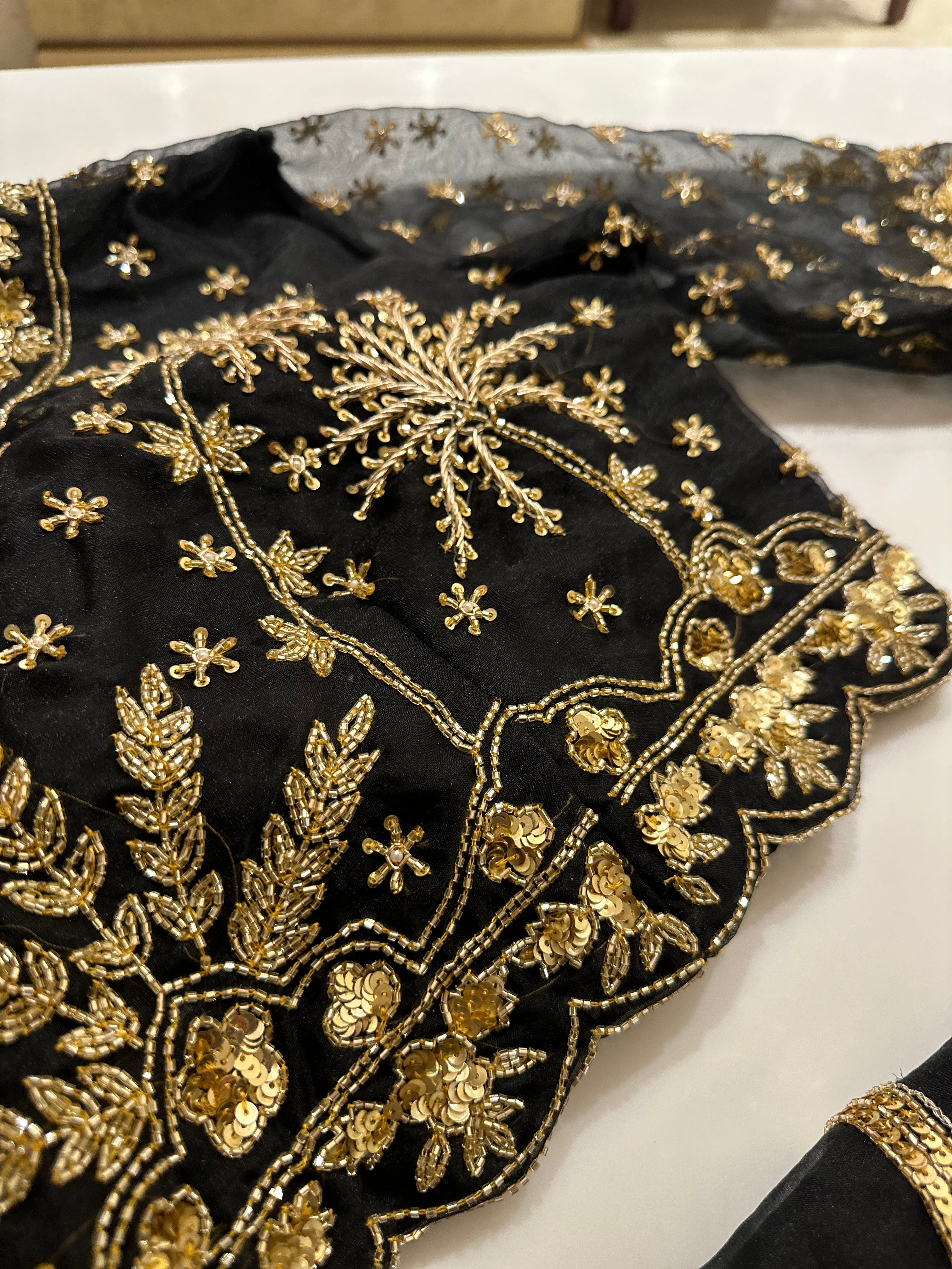 Biscotti Gold organza handwork saree