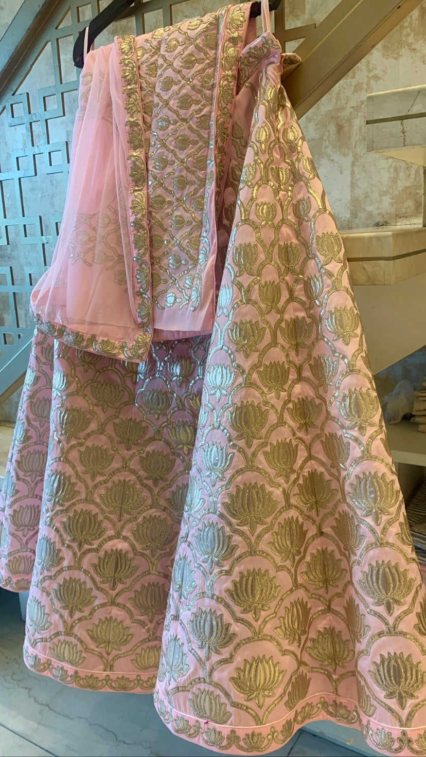 Light Lehenga