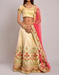 Light Lehenga Embroidered