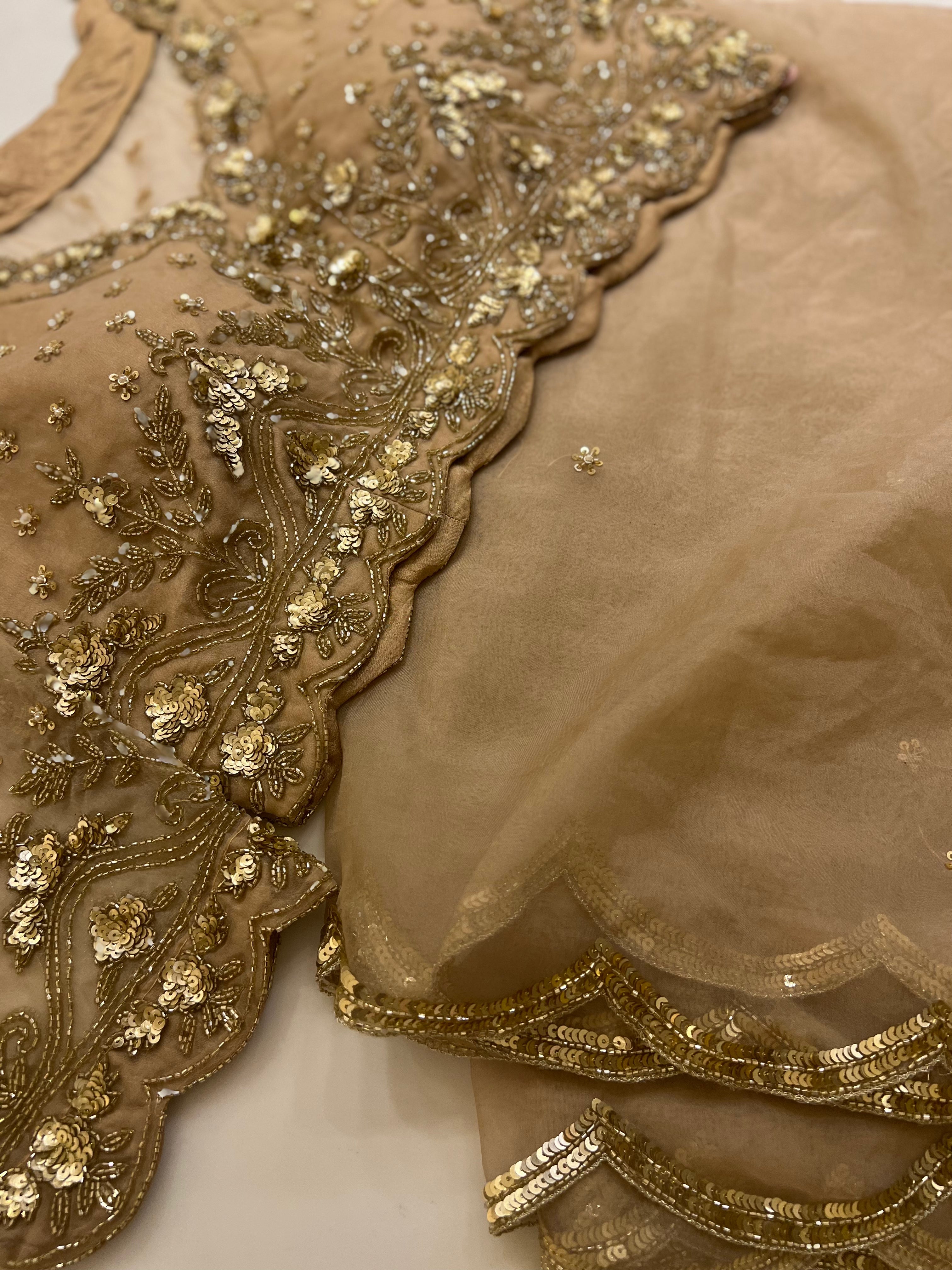 Biscotti Gold organza handwork saree