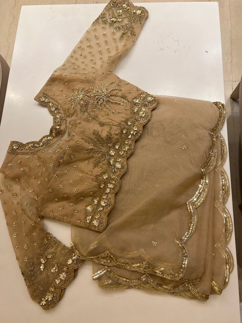 Biscotti Gold organza handwork saree