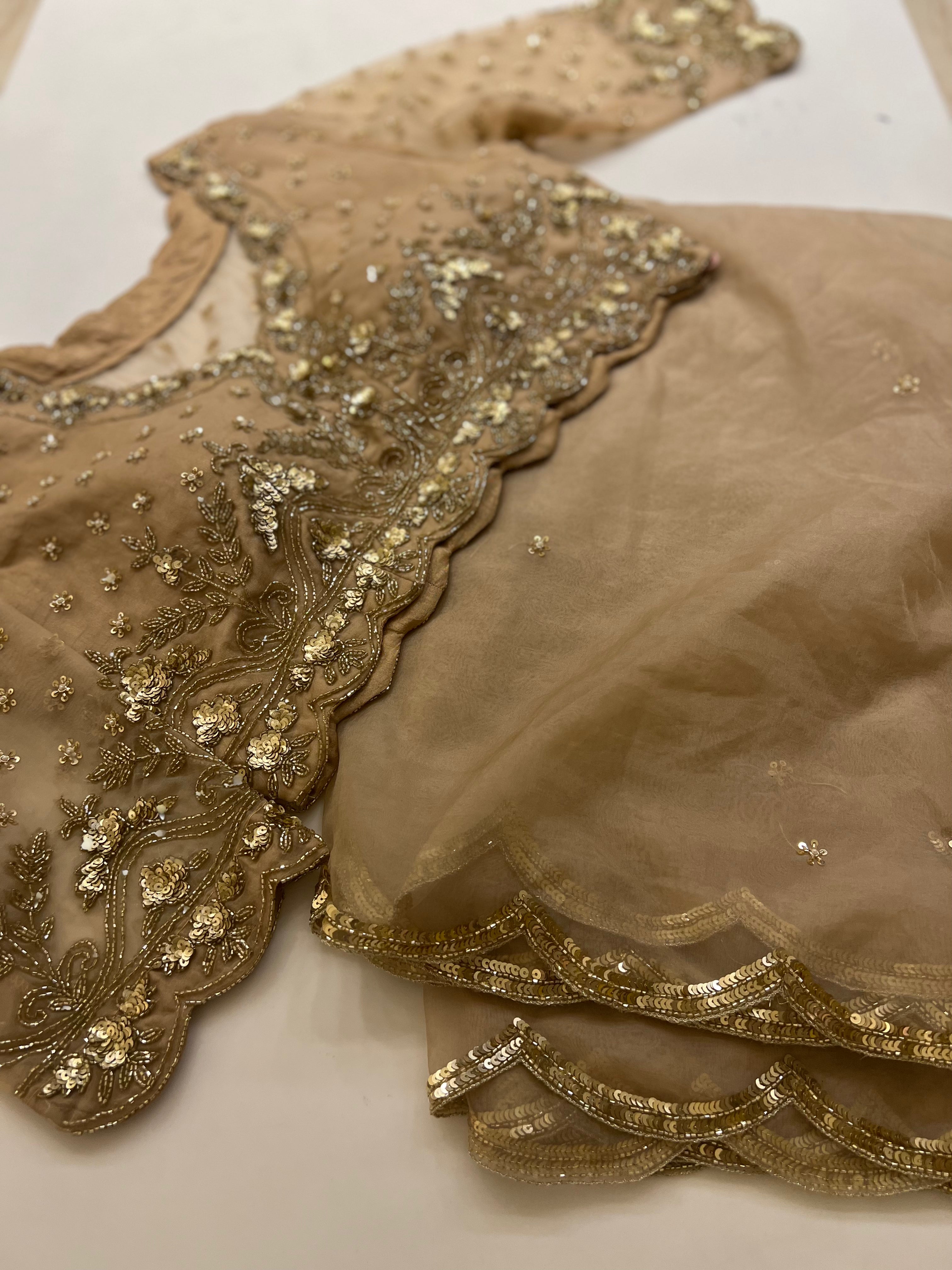 Biscotti Gold organza handwork saree