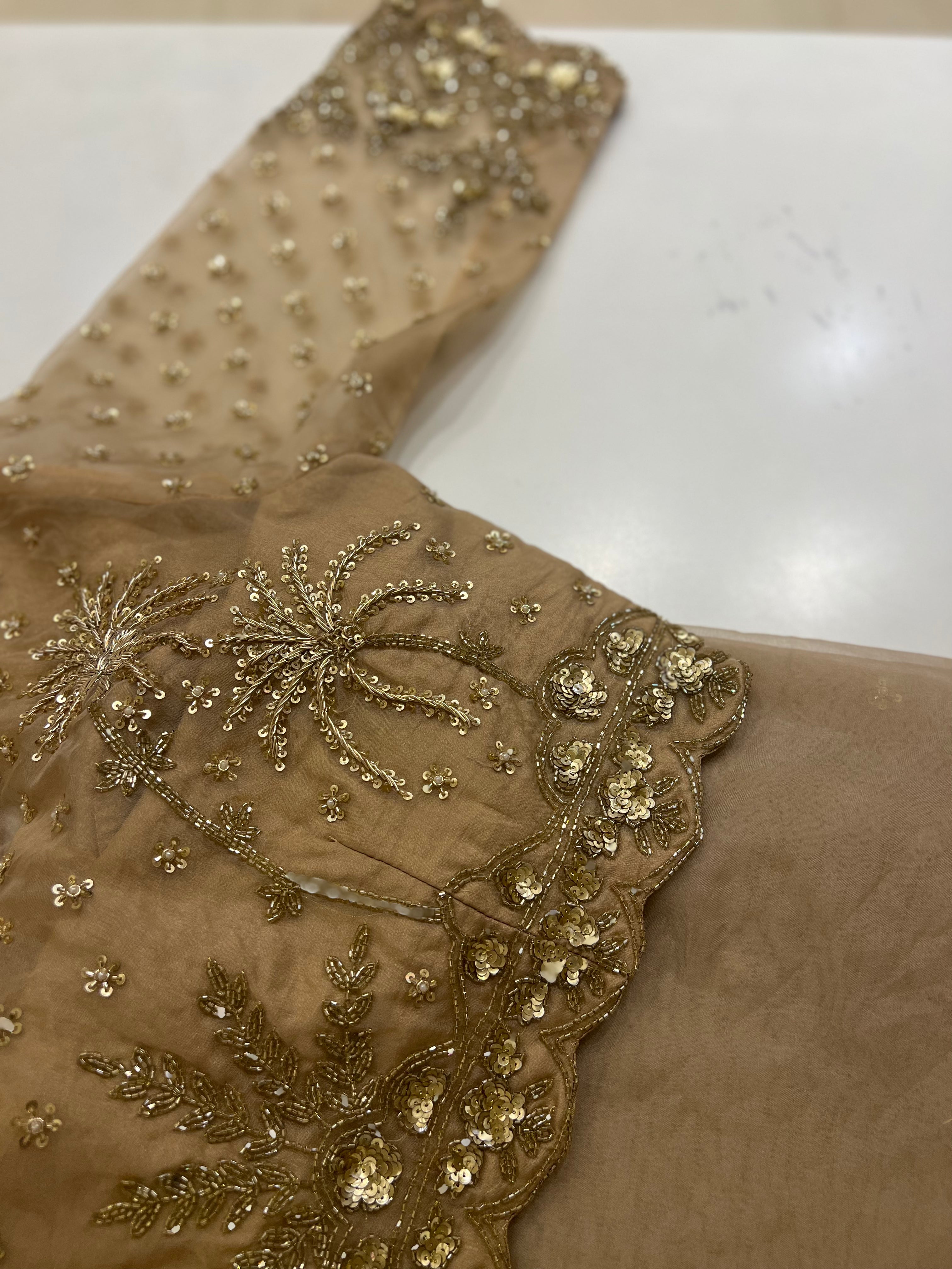 Biscotti Gold organza handwork saree