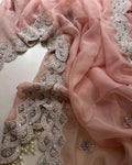 Soft Pink Pearl Saree with Resham blouse