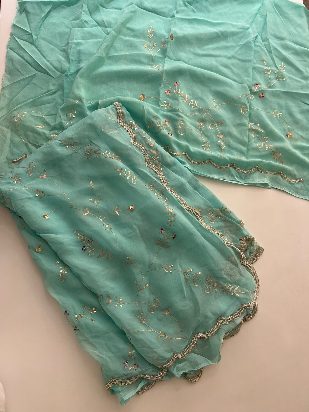 Aqua organza saree