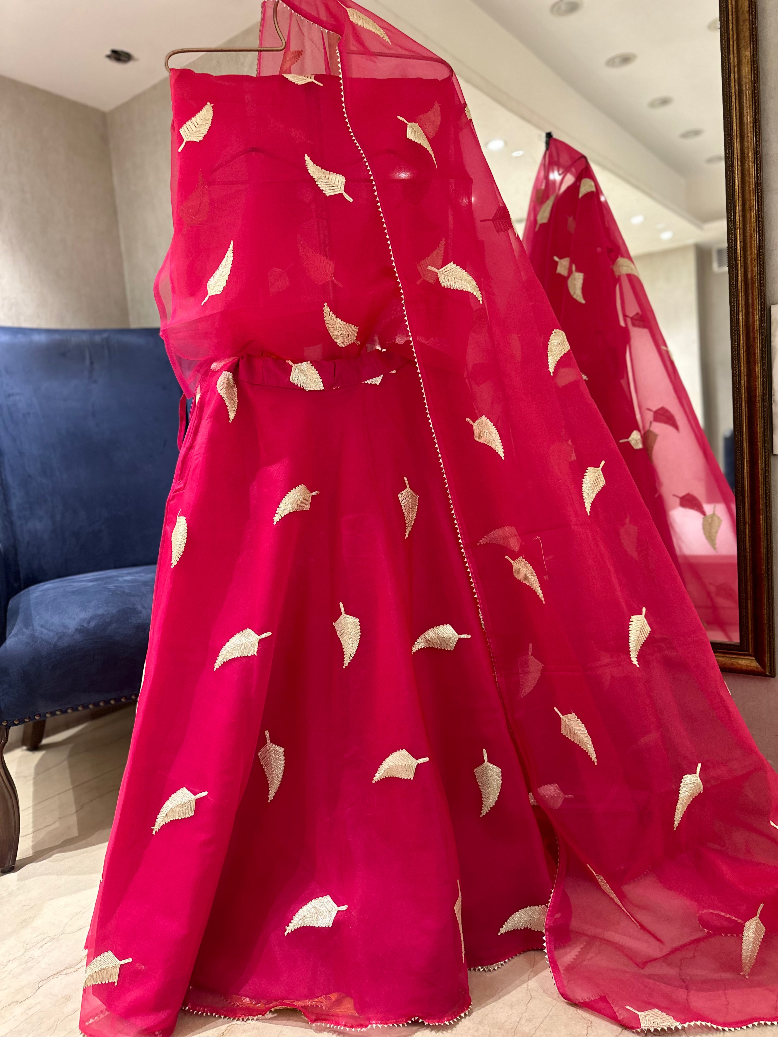 Rani Organza Chaniya choli set