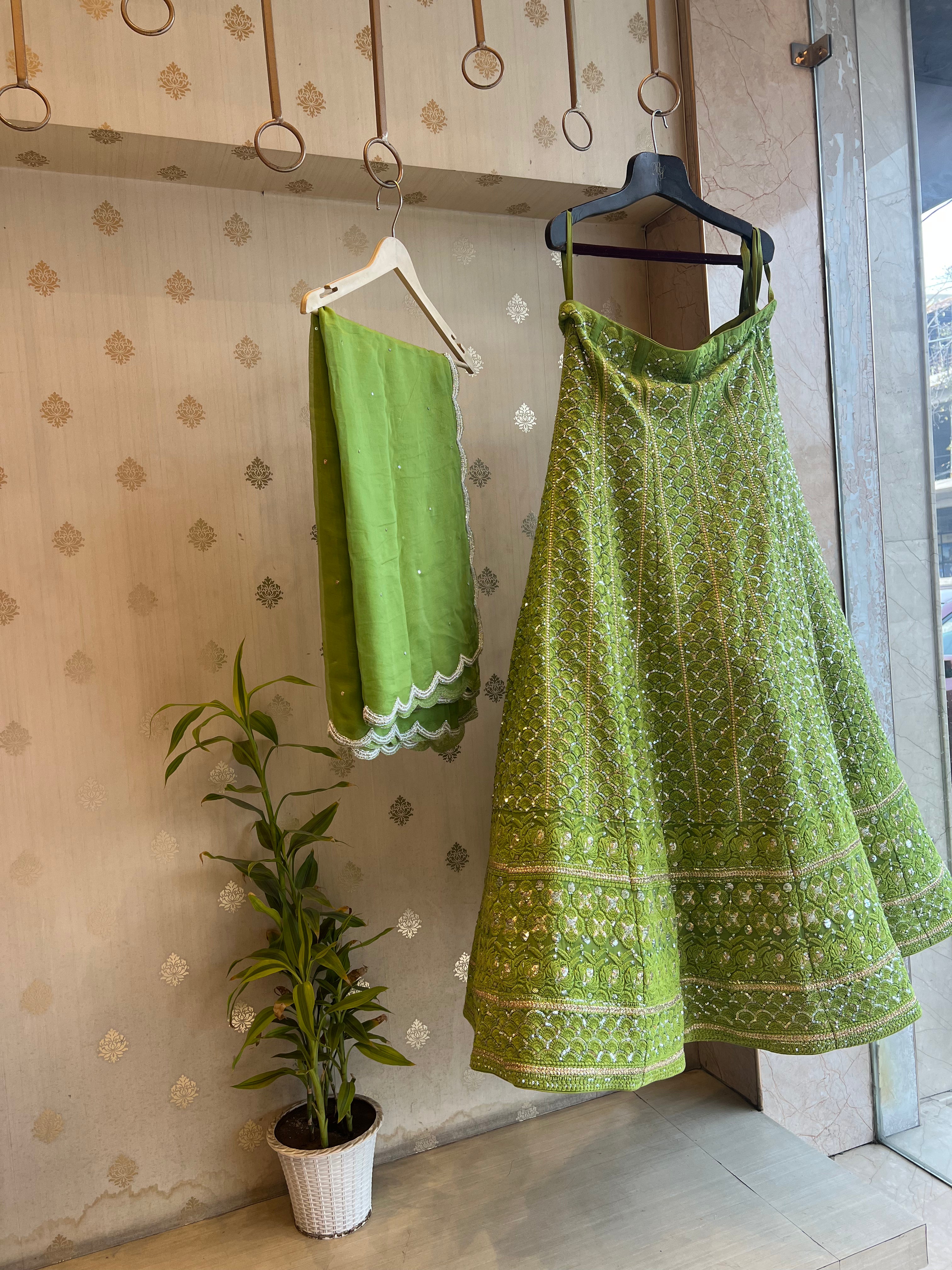 Lucknowi sequins Lehenga set