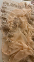 Kacha Gotapatti elegant saree