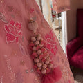 Dreamy Pink Lehenga set