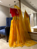 Lehriya Chaniya Choli set