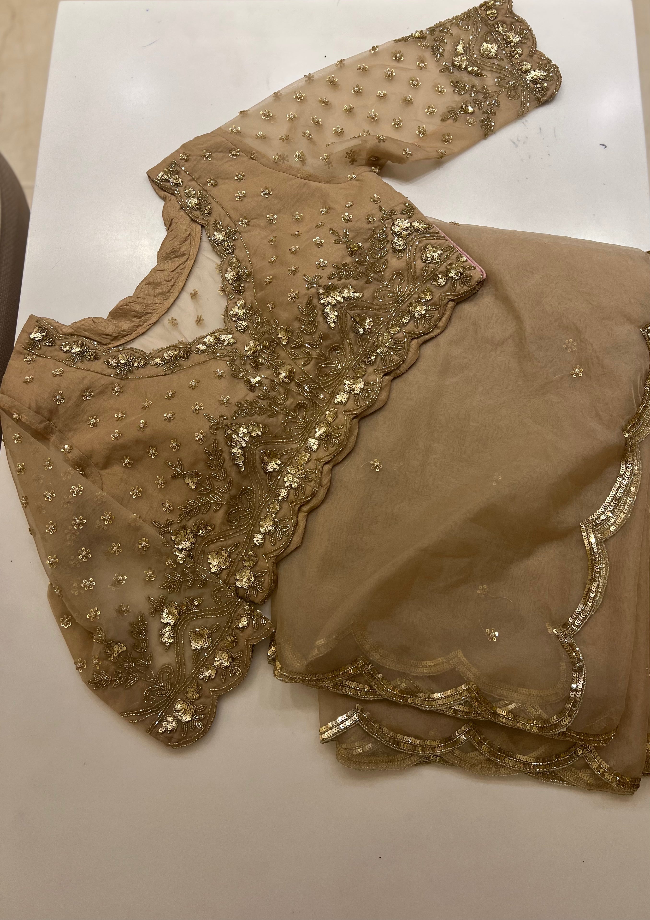 Biscotti Gold organza handwork saree