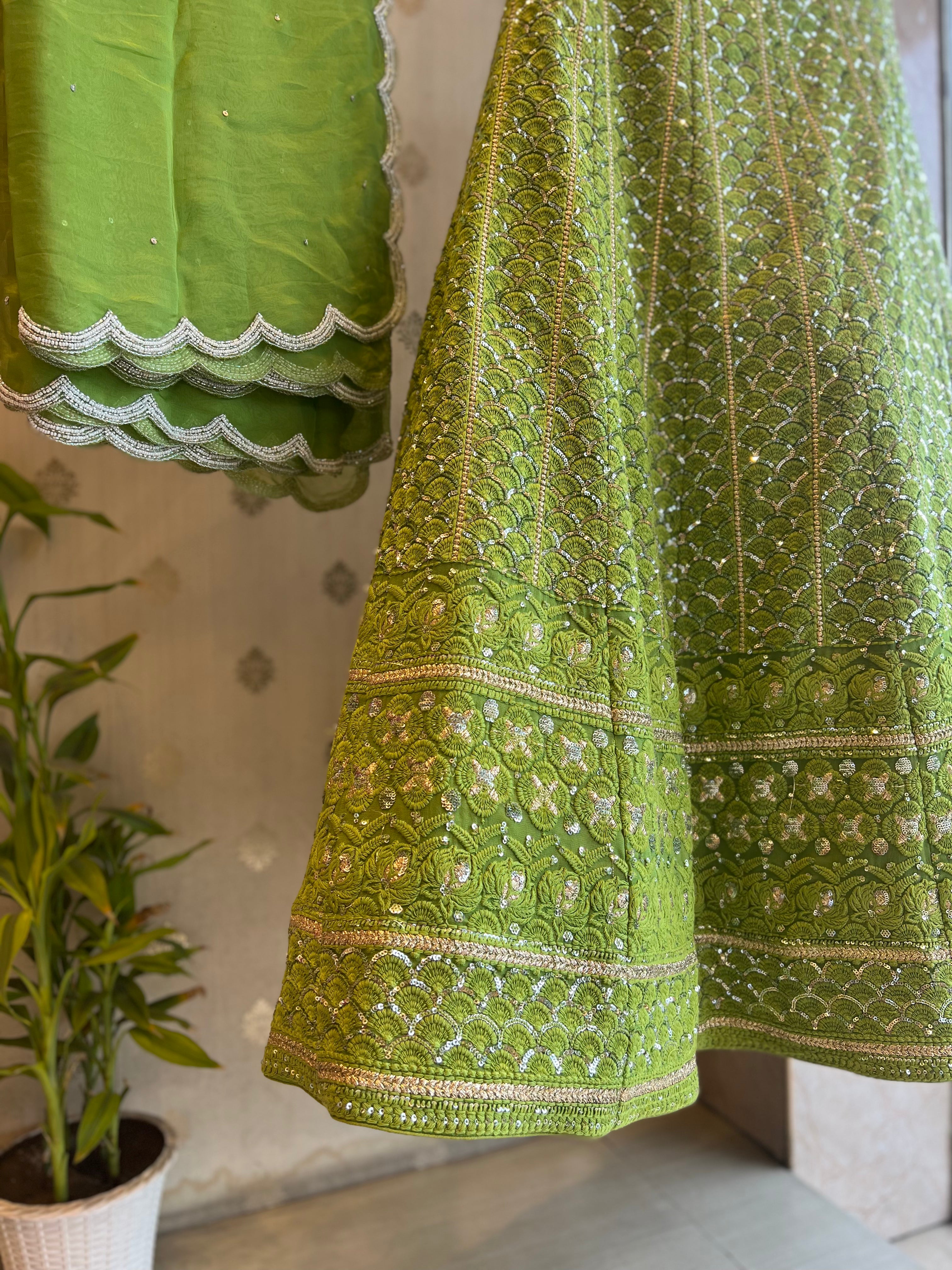 Lucknowi sequins Lehenga set